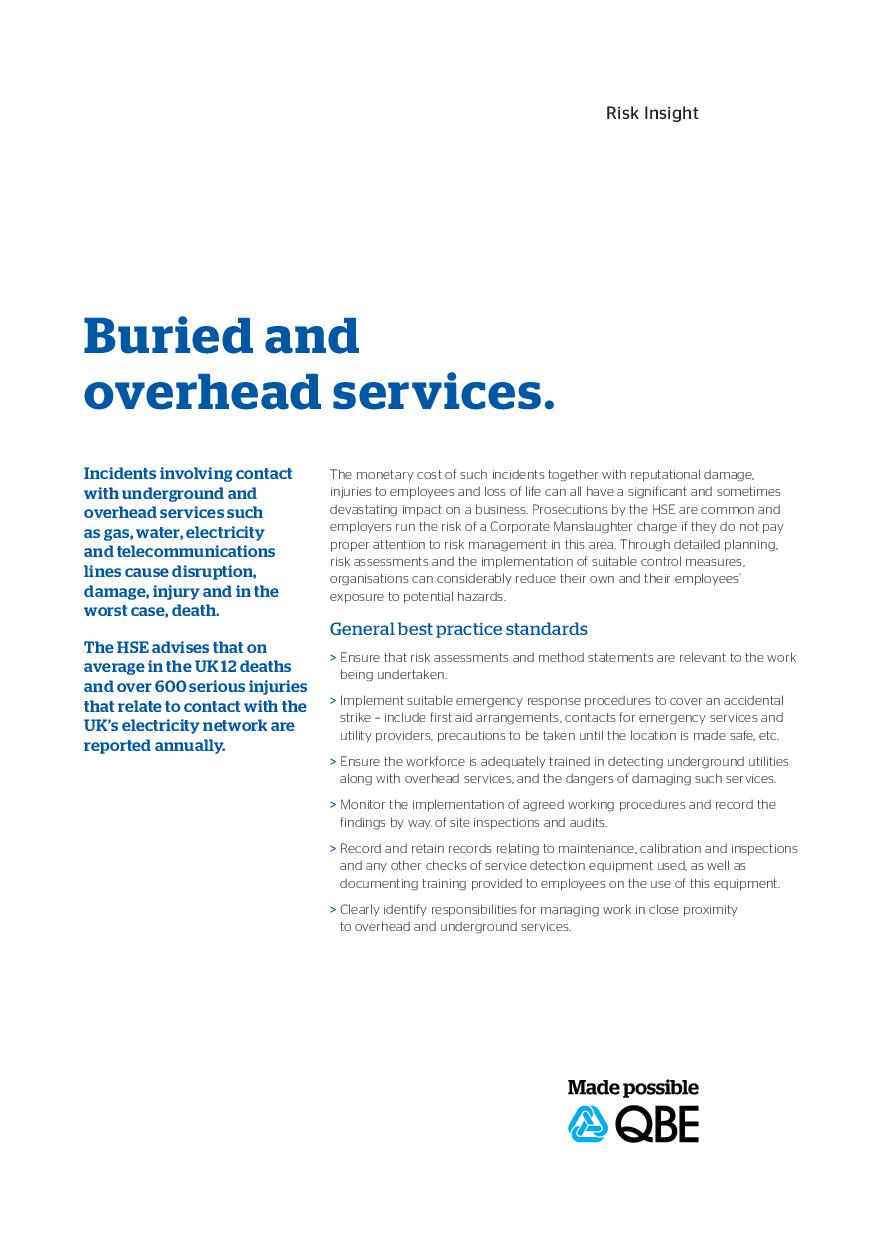 Risk Insight  Buried and Overhead Services