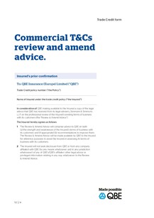 Commercial Terms & Conditions Review & Amend Advice Insured's Prior Confirmation Form