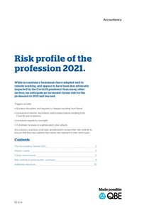 Accountancy: A Risk Profile of the Profession