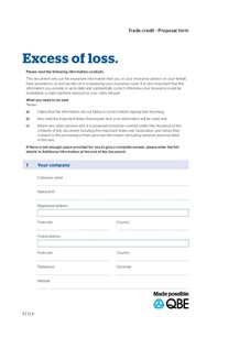 Credit insurance excess of loss proposal form