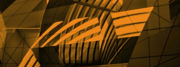 Agility And Adaptability Report