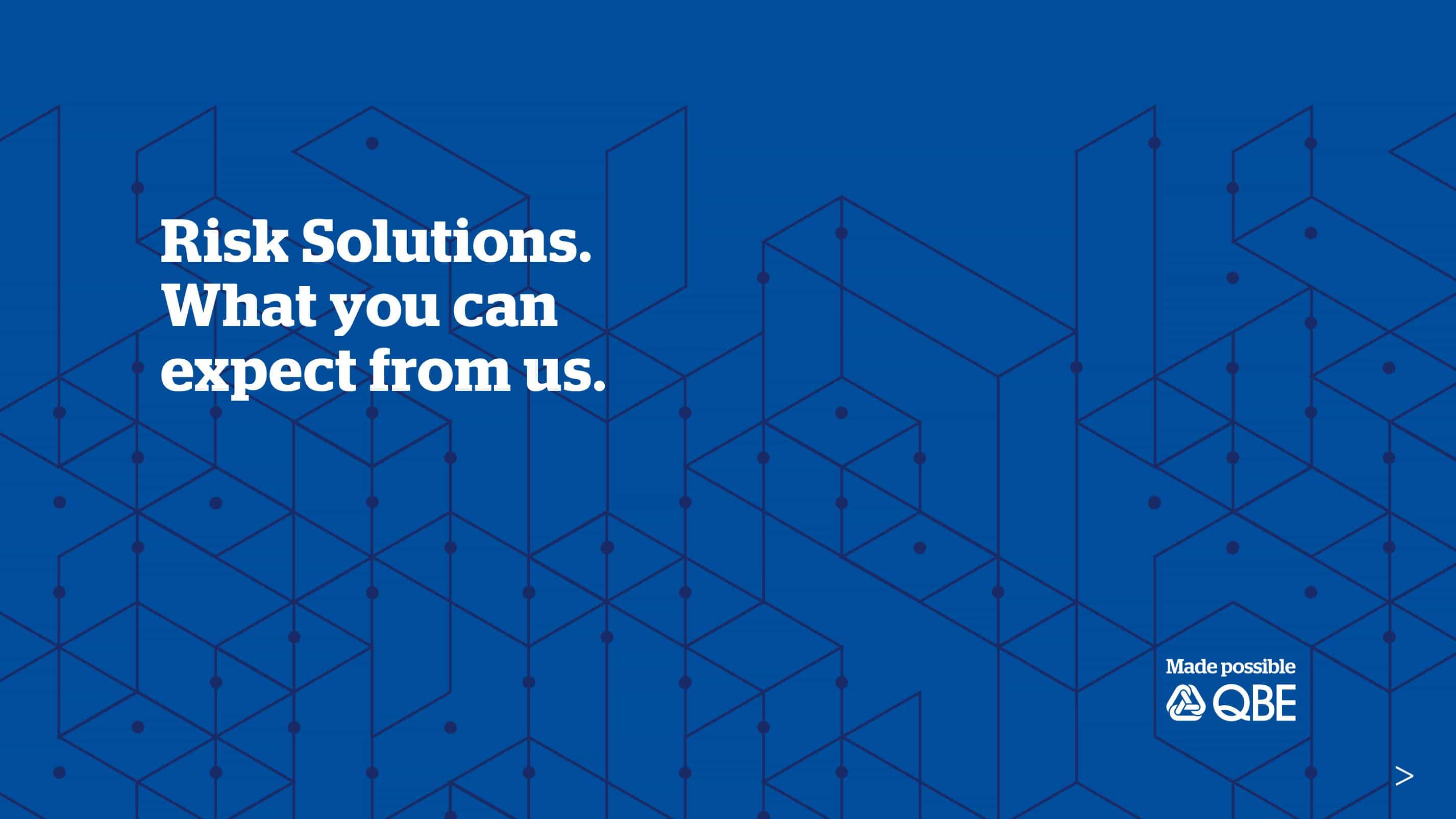 Risk Solutions - what you can expect from us.