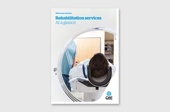 Rehabilitation services at a glance