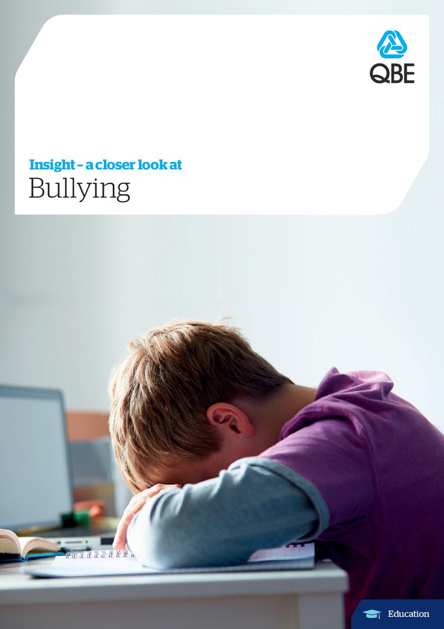 Bullying (PDF 2.1Mb) 