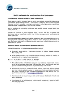 Health and safety for small and medium sized business (PDF 41Kb)