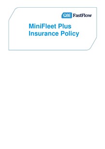 PMFP021014 MiniFleet Plus Insurance Policy (PDF 627Kb)