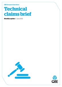 Technical Claims Brief - June 2013 (PDF 754Kb) 
