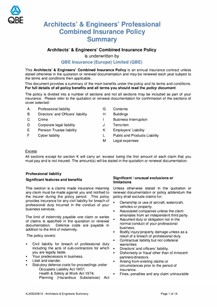 ARCHIVE - KJCT020913 Surveyors' Professional Combined Summary