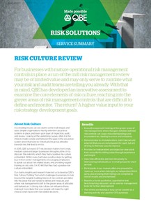 Risk Culture Review service (PDF 867Kb)