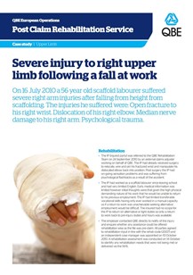 Severe injury to upper limb following a fall at work (PDF 1.6Mb)