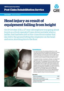 Head injury as result of equipment falling from height (PDF 147Kb)