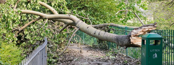 banner-extreme-weather.jpg