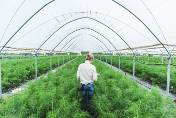 Food and Drink - Autumn Sector Update 2022