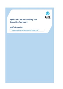 Risk Culture Profiling Report Example Extract