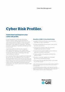 QBE Cyber Risk Profiler