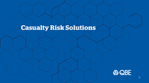 Casualty Risk Solutions Brochure