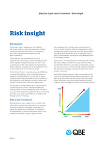 Effective Supervision Risk Insight