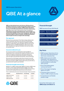 QBE at a glance