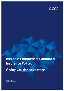 PBCC010126 - Business Commercial Combined Insurance Policy Wording