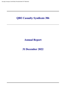 QBE Casualty Syndicate 386 Annual Report 2022