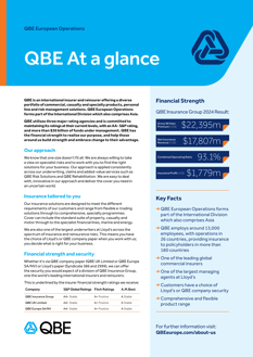 QBE at a glance