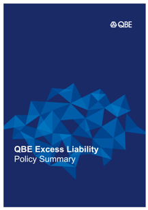 KELC010125 QBE Excess Liability Policy Summary